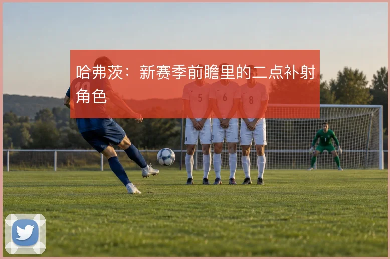 哈弗茨：新赛季前瞻里的二点补射角色