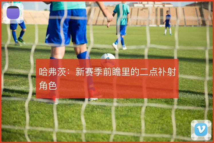 哈弗茨：新赛季前瞻里的二点补射角色
