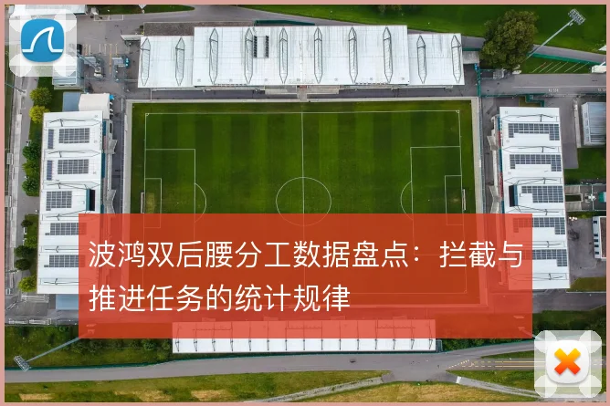 波鸿双后腰分工数据盘点:拦截与推进任务的统计规律